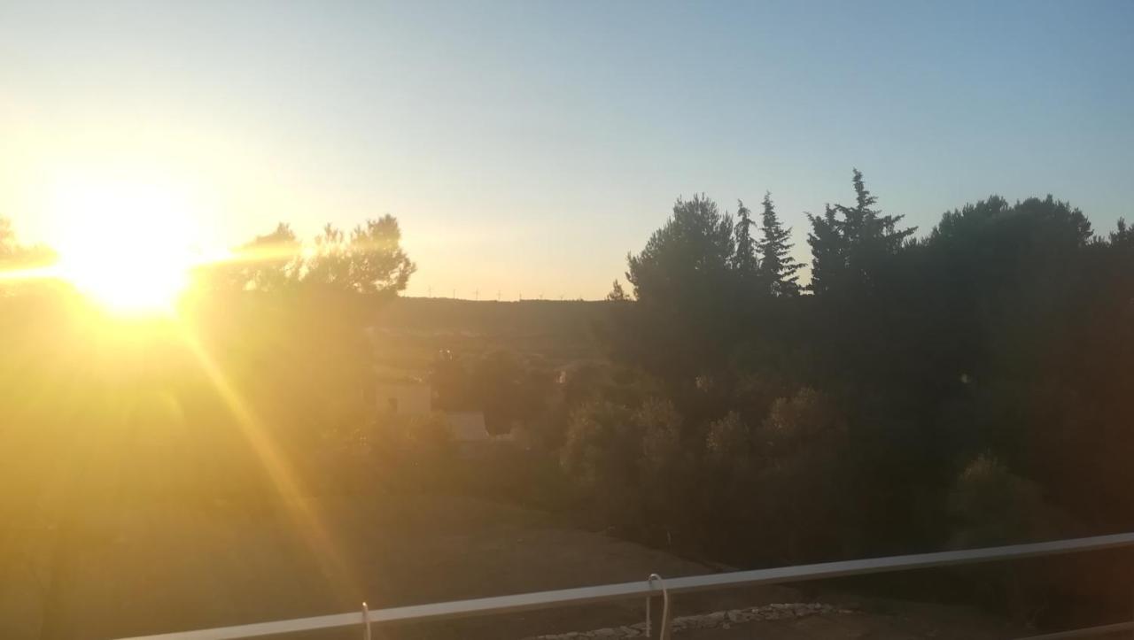 Le Studio Des 3 Moulins Sigean Εξωτερικό φωτογραφία